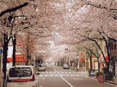 日本大學(xué) 日本大學(xué)